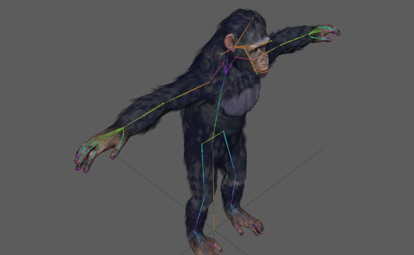 Chimpanzee Ape Rigged 3D Model - TurboSquid 1931761