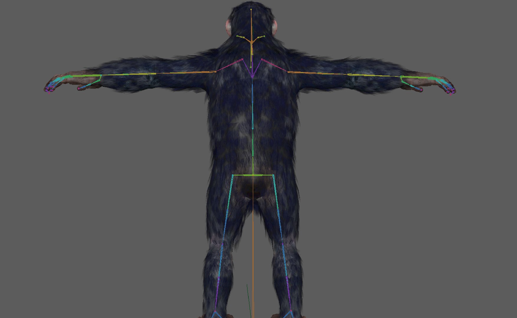 Chimpanzee Ape Rigged 3D Model - TurboSquid 1931761
