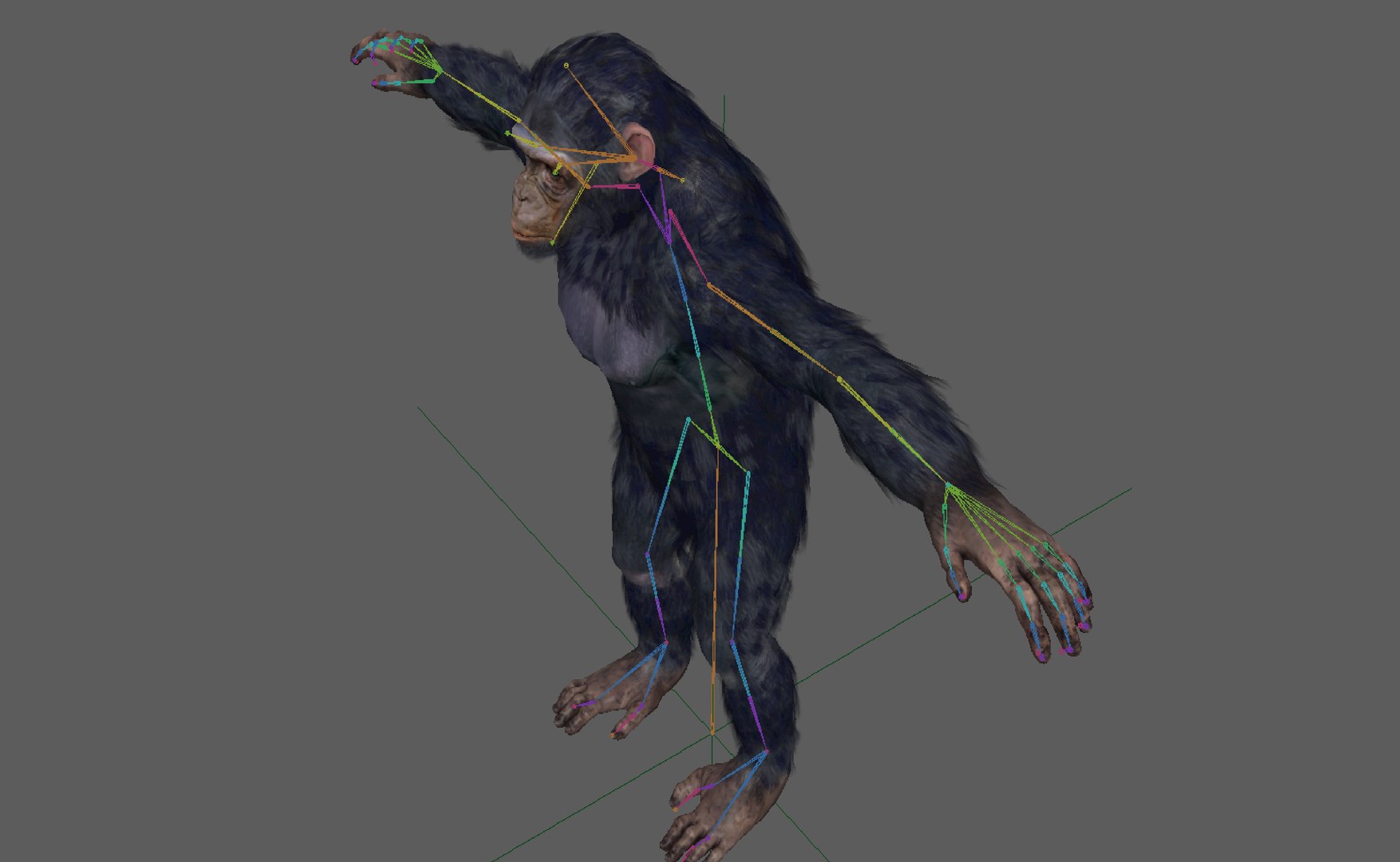Chimpanzee Ape Rigged 3D Model - TurboSquid 1931761