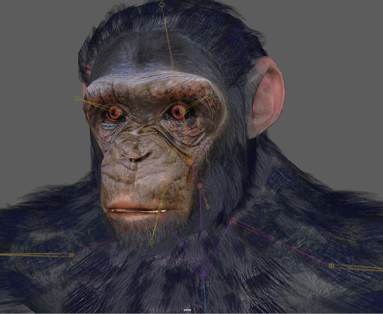 Chimpanzee Ape Rigged 3D Model - TurboSquid 1931761