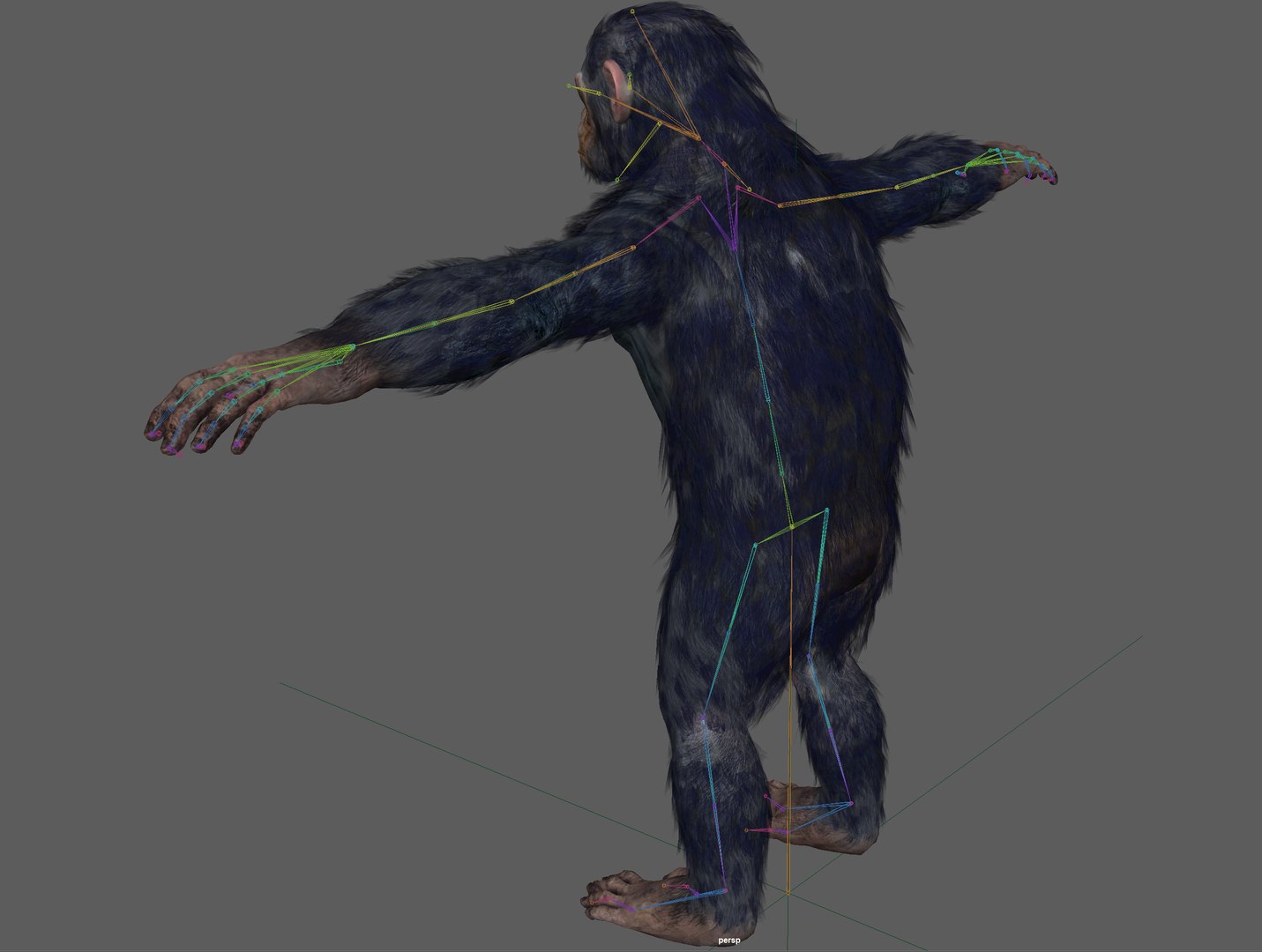 Chimpanzee Ape Rigged 3D Model - TurboSquid 1931761