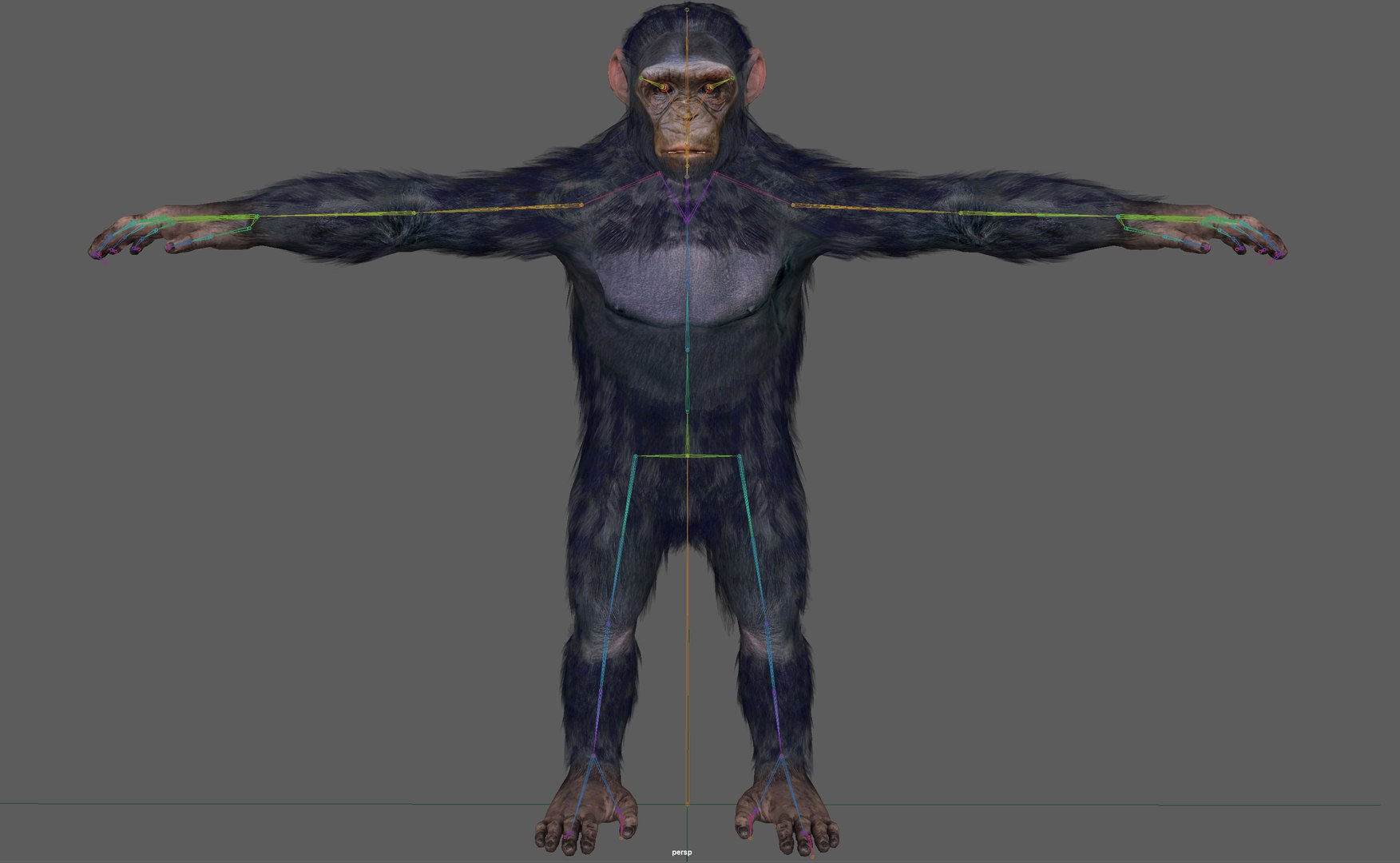 Chimpanzee Ape Rigged 3D Model - TurboSquid 1931761