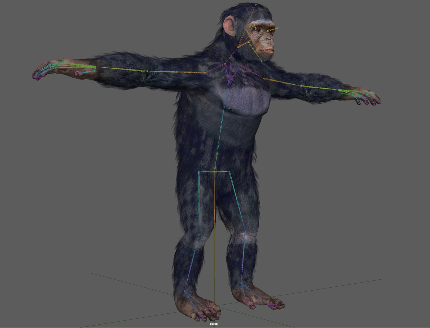 Chimpanzee Ape Rigged 3D Model - TurboSquid 1931761