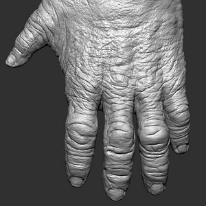 Gorilla Hand 3D model