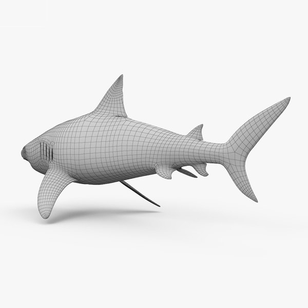 Tiger shark 3D model - TurboSquid 1687306