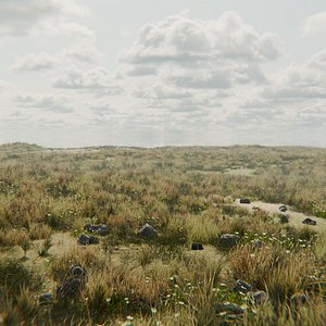 3D Grassy plains