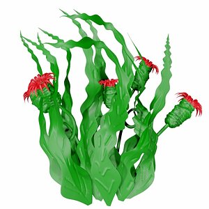 3D Seaweed