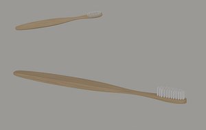 Toothbrush model