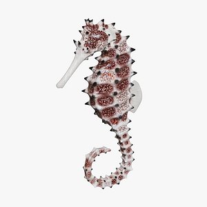 3D Spiny Seahorse Rigged Animated