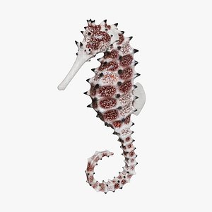 Spiny Seahorse Rigged Animated