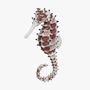 Spiny Seahorse Rigged Animated
