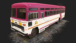 3D INDIAN HIRKANI ST BUS V02 Purple and White model