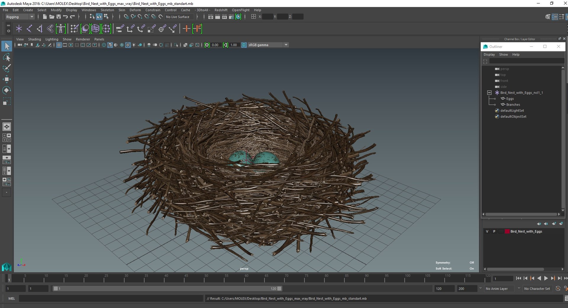 3D Bird Nest With Eggs Model - TurboSquid 2198756