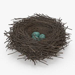 3D Bird Nest with Eggs model