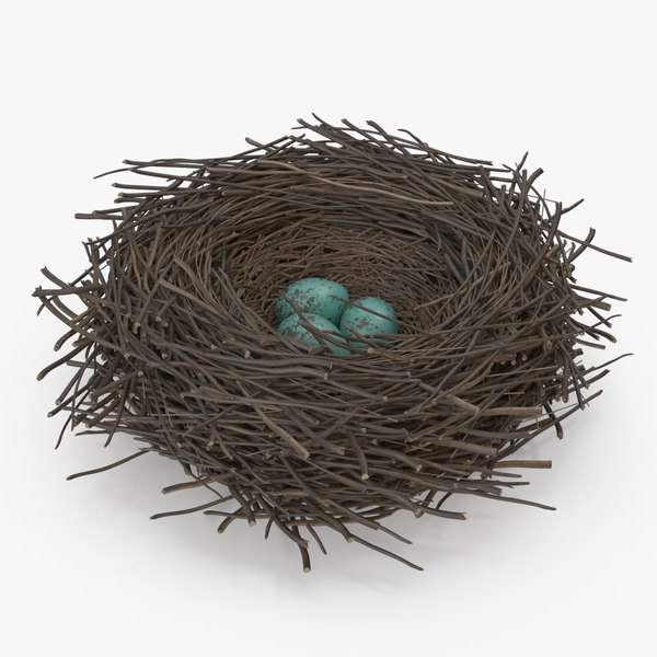 3D Bird Nest with Eggs model