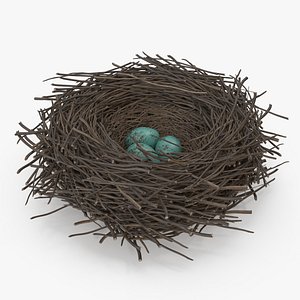 Bird Nest with Eggs