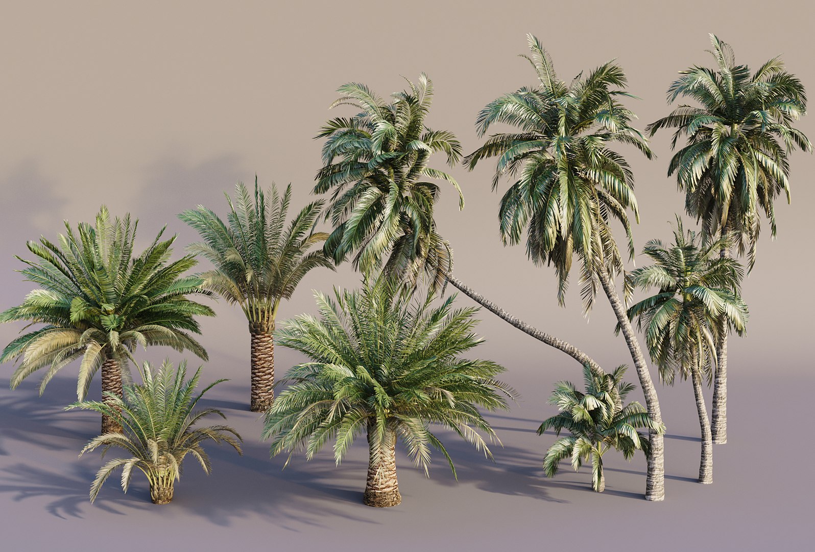 Pool and Beach Elements 3D model https://p.turbosquid.com/ts-thumb/c9/G6Fwgq/3L/palmtrees/jpg/1694465673/1920x1080/fit_q87/a15d38757172467a8ebae06c41a33aa0330ae0bc/palmtrees.jpg