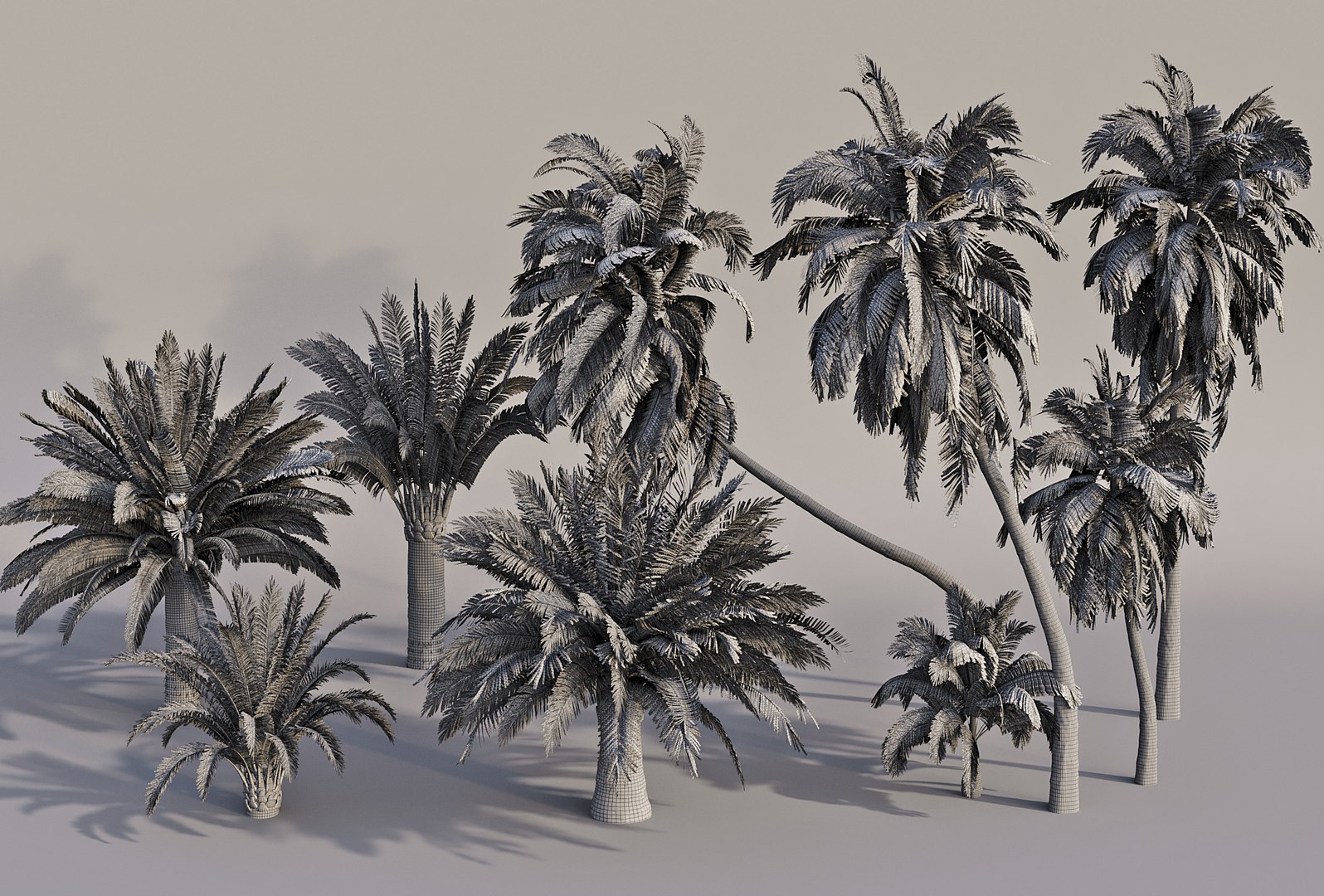 Pool and Beach Elements 3D model https://p.turbosquid.com/ts-thumb/c9/G6Fwgq/cf/palmtreeswire/jpg/1694465670/1920x1080/fit_q87/324949e9a33e030f702c68efe47705092a7ba91b/palmtreeswire.jpg