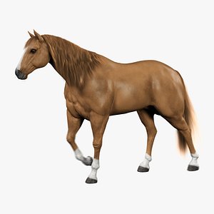horse light brown fur 3d model