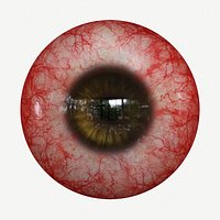 Eye Redness Real-time 3D model 4k texture Marmoset Toolbag3 Maya FBX OBJ