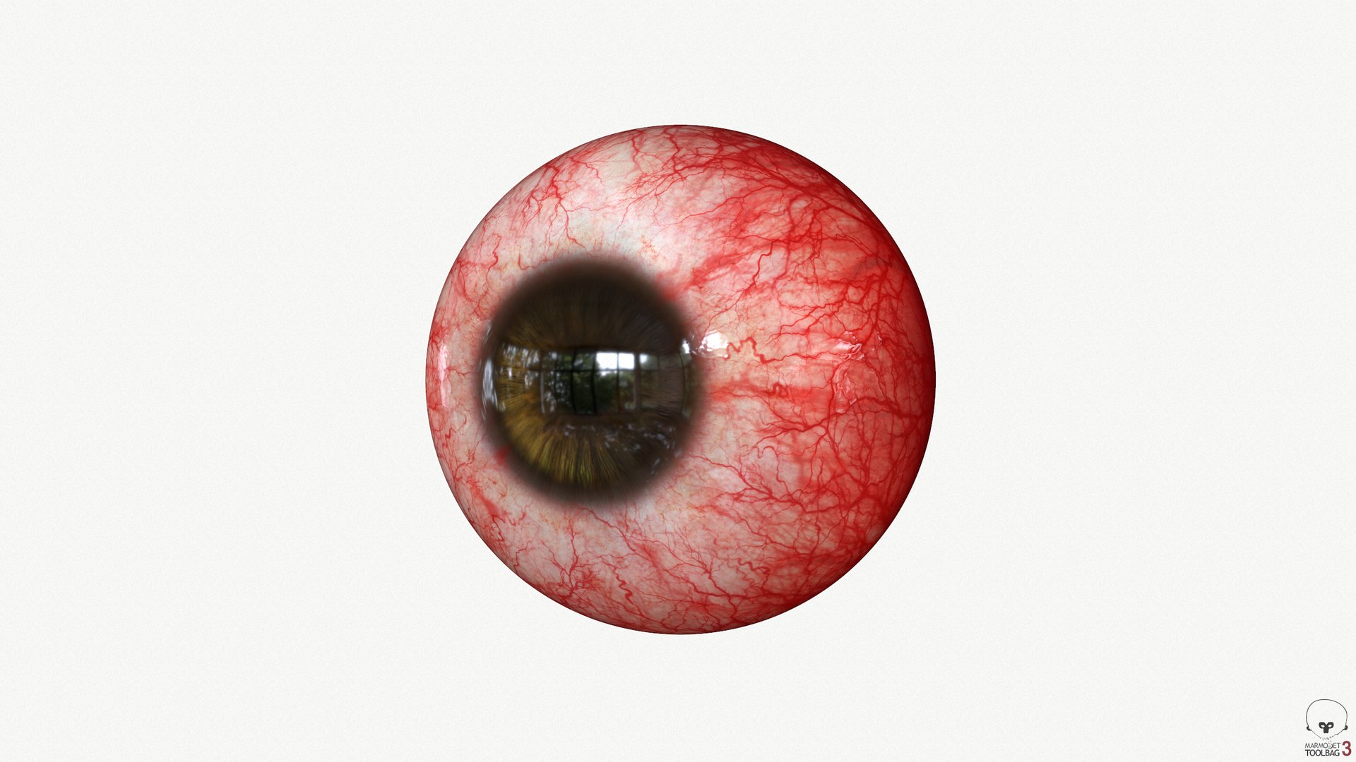 Eye Redness Real-time 3D model 4k texture Marmoset Toolbag3 Maya FBX OBJ 3D model https://p.turbosquid.com/ts-thumb/c9/QEgCdX/De/screenshot208/png/1667337915/1920x1080/fit_q87/1766fc326c6ff07d951f044a54de01eee1021508/screenshot208.jpg