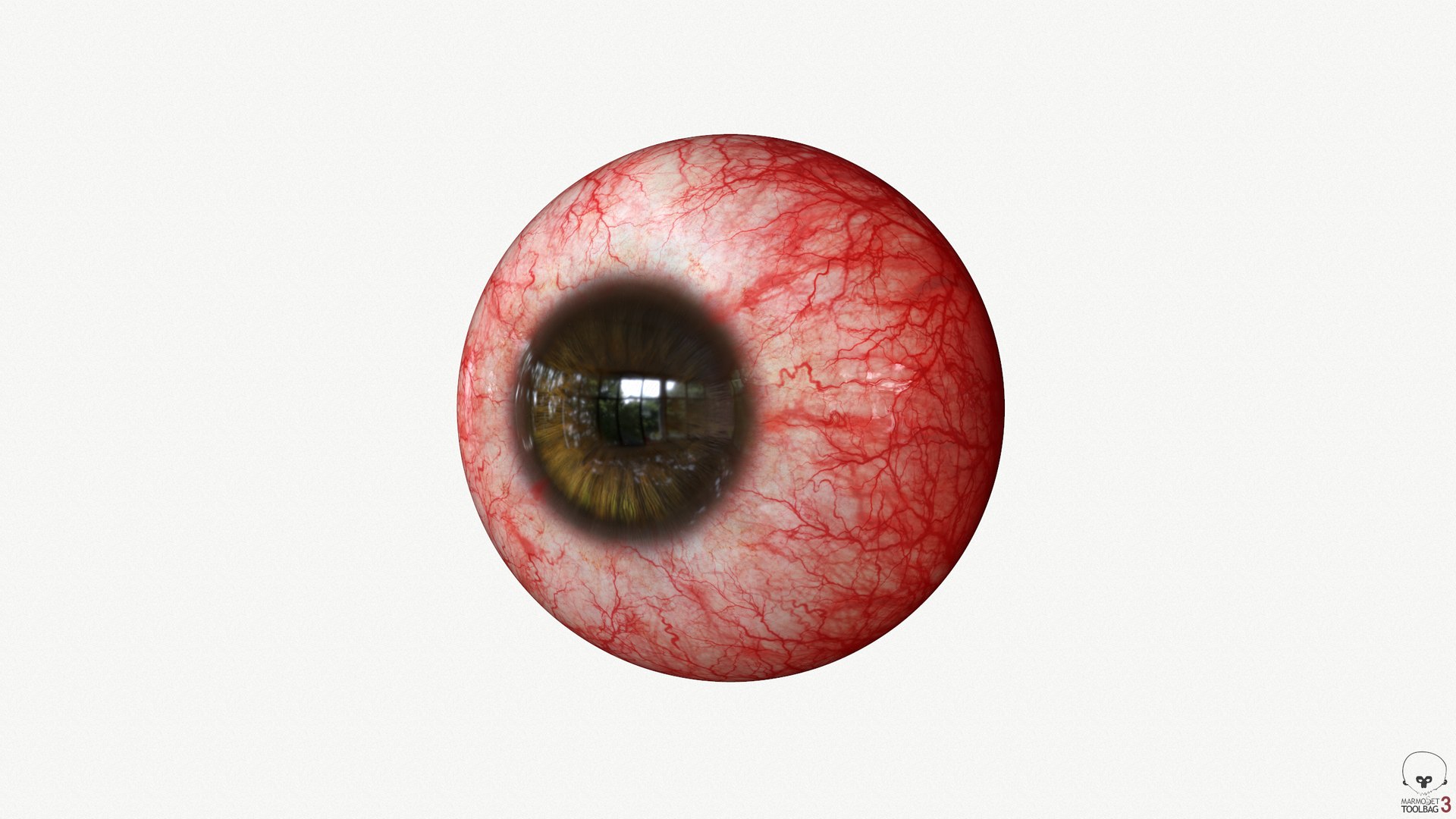 Eye Redness Real-time 3D model 4k texture Marmoset Toolbag3 Maya FBX OBJ 3D model https://p.turbosquid.com/ts-thumb/c9/QEgCdX/dV/screenshot207/png/1667337855/1920x1080/fit_q87/2cdf985dd66fe1553d94cc4cde5739f411f425df/screenshot207.jpg