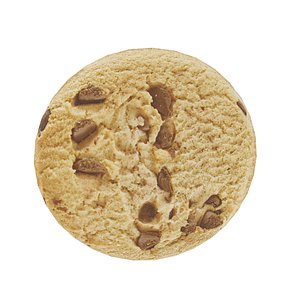 3D chocolate chip cookie
