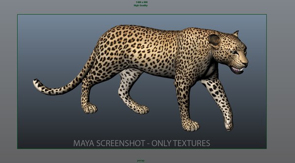 Maya Leopard Rigged Fur Animations