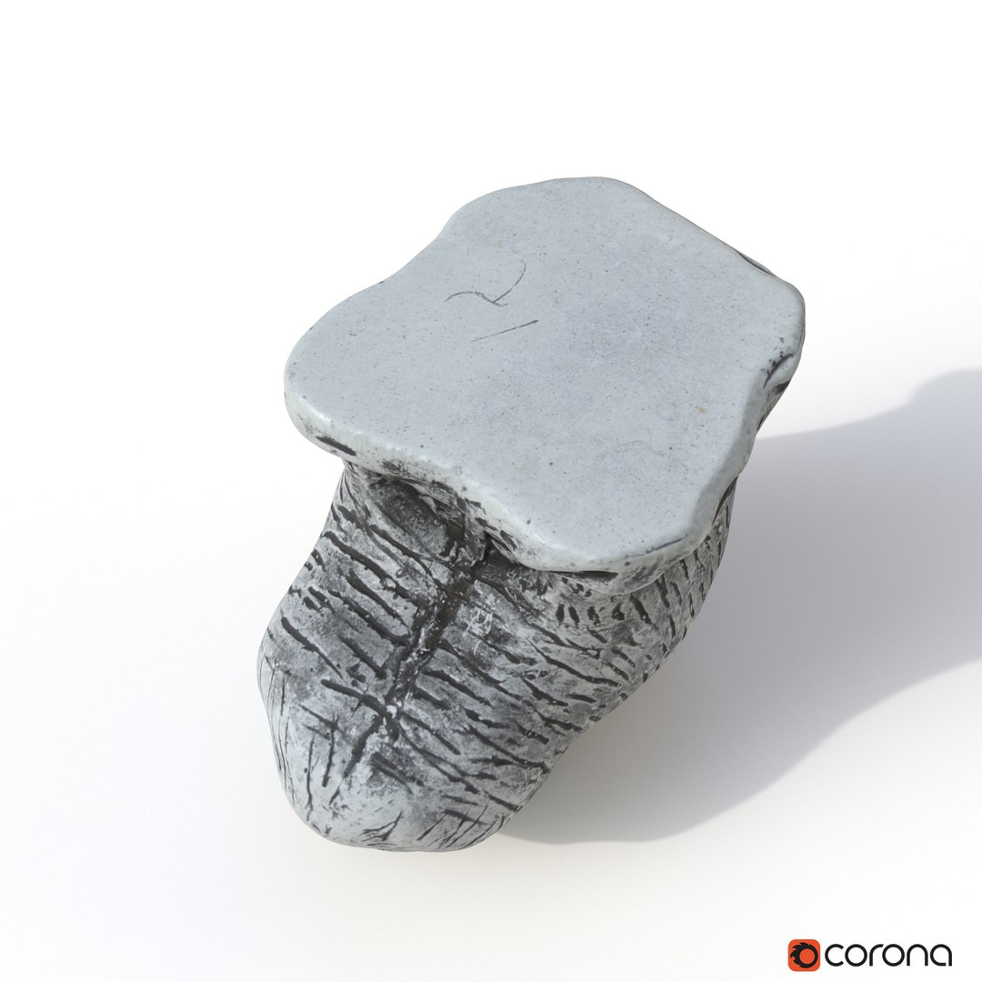 Cat Photogrammetry Renders 3D Model - TurboSquid 1207556