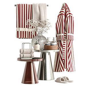 Bathroom Accessories 50 model