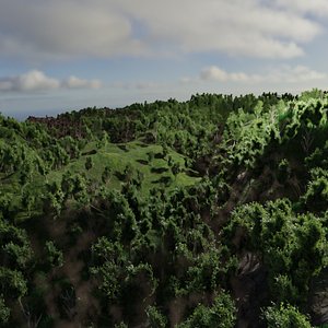 trees forest 3D model