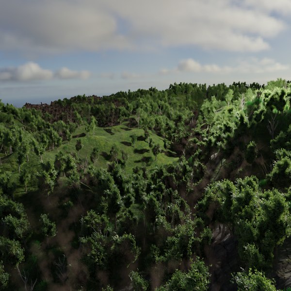 trees forest 3d model