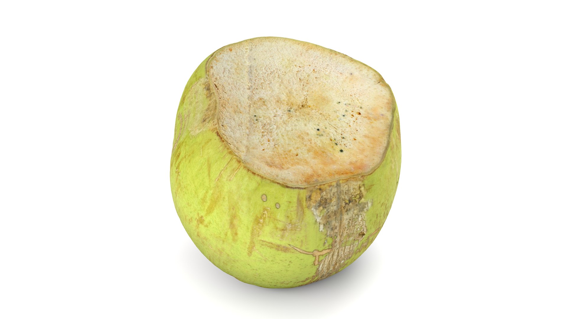 Green Coconut - Photorealistic Scan 3D model https://p.turbosquid.com/ts-thumb/c9/vlqQ31/1Y/coconutgreen_12/jpg/1755067822/1920x1080/fit_q87/ba7489de65f94ca9ac50cdbc317eabda83033dcf/coconutgreen_12.jpg