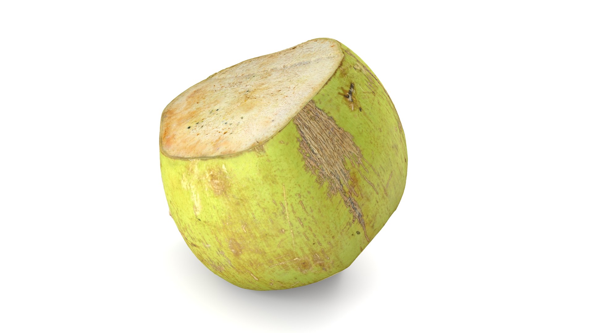 Green Coconut - Photorealistic Scan 3D model https://p.turbosquid.com/ts-thumb/c9/vlqQ31/F8/coconutgreen_07/jpg/1755067819/1920x1080/fit_q87/dbda9eb5b3b13b38ab30e0947718cf51040f20ea/coconutgreen_07.jpg