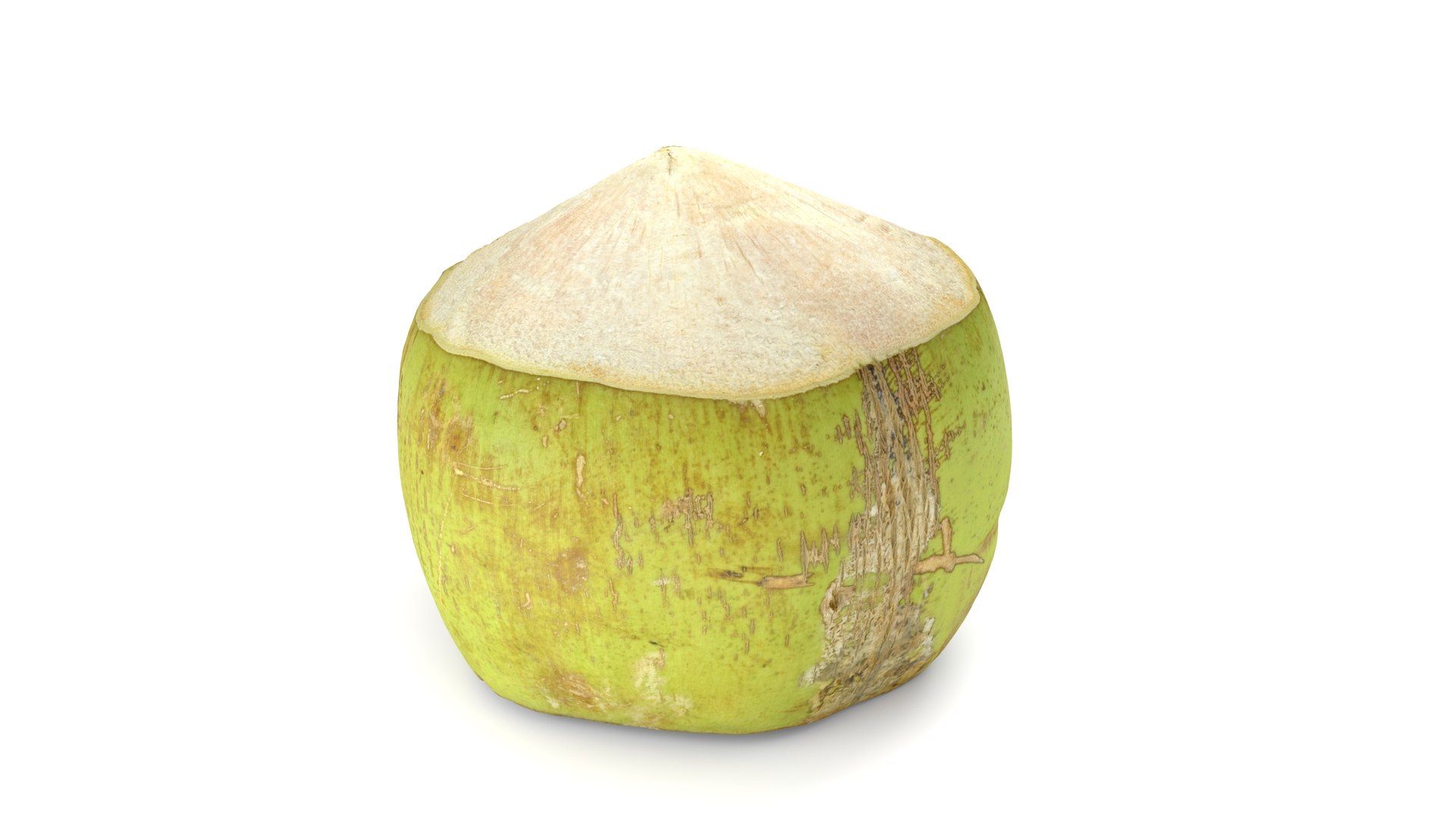 Green Coconut - Photorealistic Scan 3D model https://p.turbosquid.com/ts-thumb/c9/vlqQ31/Fz/coconutgreen_04/jpg/1755067816/1920x1080/fit_q87/5e9039d6b4b4f70af8d96925226fa4524b4d9814/coconutgreen_04.jpg