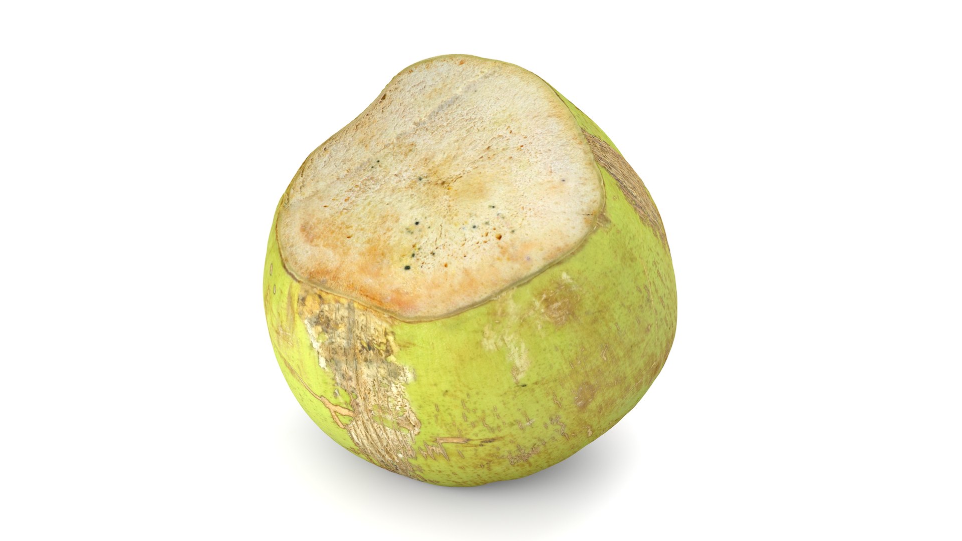 Green Coconut - Photorealistic Scan 3D model https://p.turbosquid.com/ts-thumb/c9/vlqQ31/JL/coconutgreen_13/jpg/1755067823/1920x1080/fit_q87/02e6ad0122f3b09329e4ee04afa488ea5f40a73b/coconutgreen_13.jpg