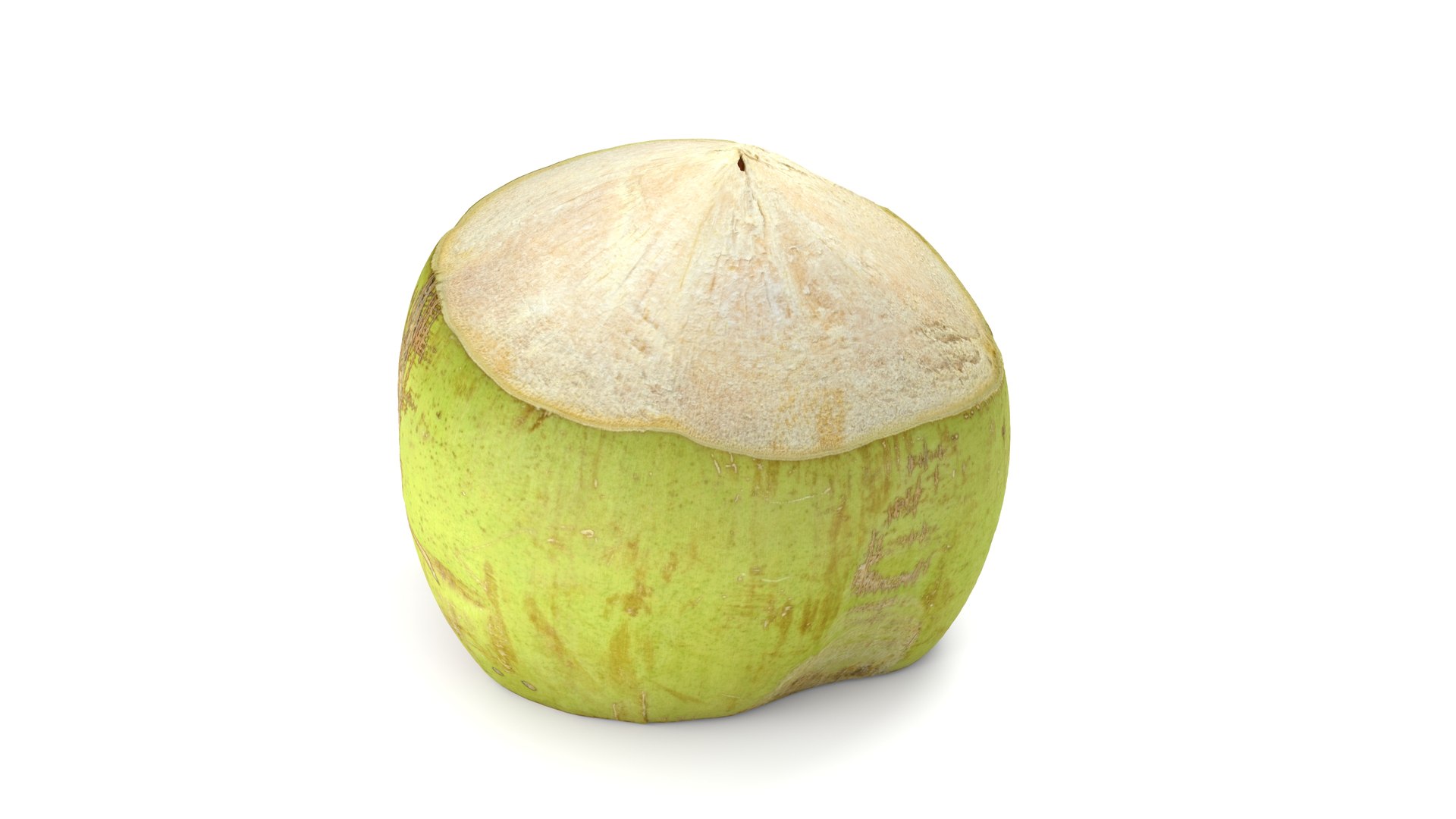 Green Coconut - Photorealistic Scan 3D model https://p.turbosquid.com/ts-thumb/c9/vlqQ31/JR/coconutgreen_02/jpg/1755067815/1920x1080/fit_q87/041f455de4d0b588bcb04acbeea6a796e83b5da4/coconutgreen_02.jpg