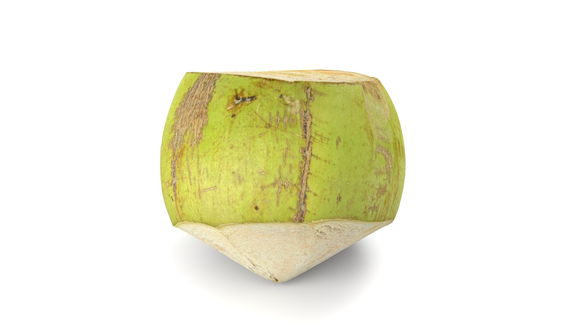 Green Coconut - Photorealistic Scan 3D model https://p.turbosquid.com/ts-thumb/c9/vlqQ31/Ma/coconutgreen_09/jpg/1755067820/1920x1080/fit_q87/4bc6cc23fe2a0c33e3aee3705afd848c310a5855/coconutgreen_09.jpg