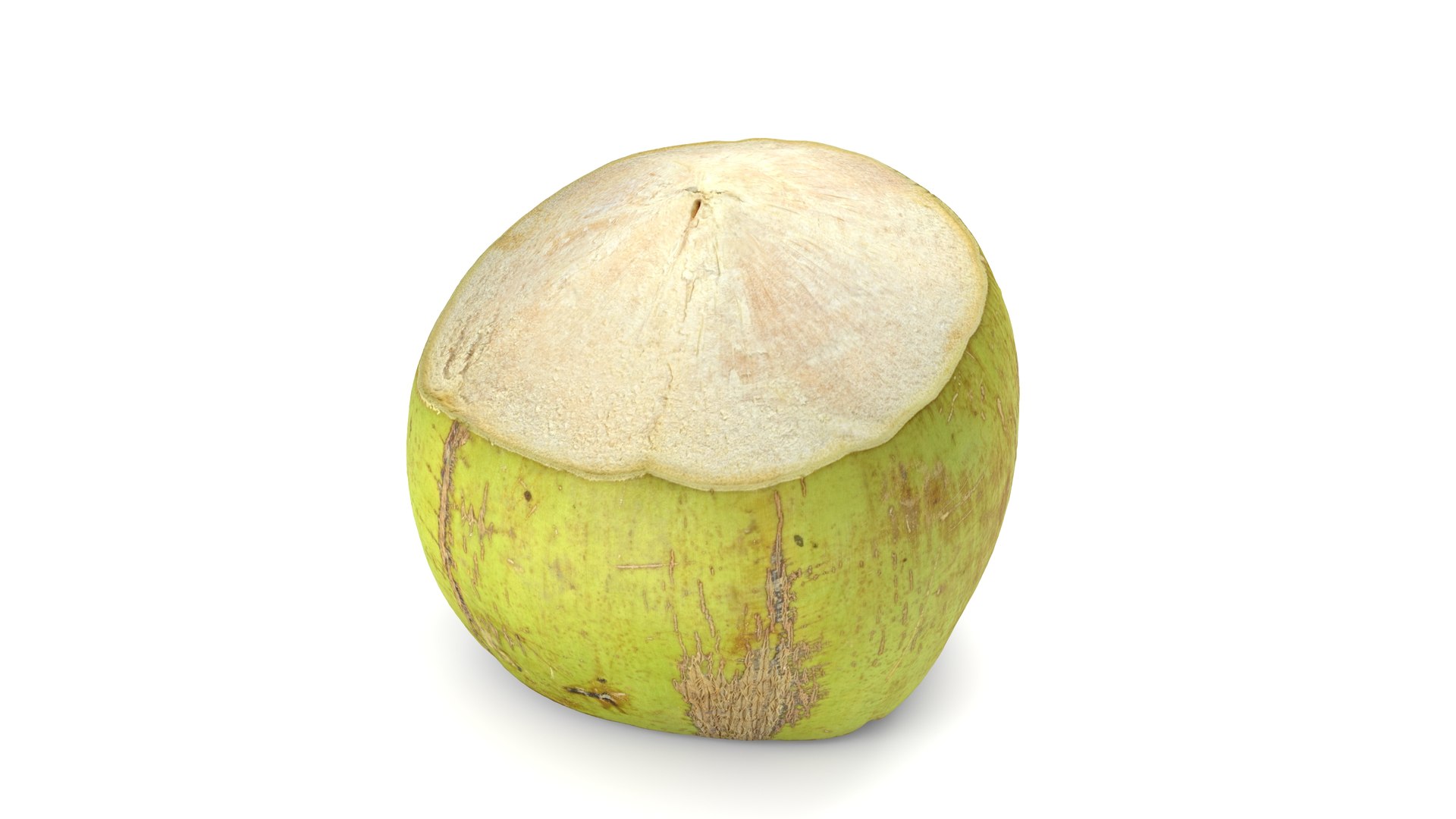 Green Coconut - Photorealistic Scan 3D model https://p.turbosquid.com/ts-thumb/c9/vlqQ31/Pb/coconutgreen_14/jpg/1755067823/1920x1080/fit_q87/30a307ba2bbdc2e32b77bb0ff57f2089980a2e91/coconutgreen_14.jpg