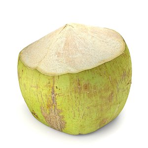 Green Coconut - Photorealistic Scan 3D model