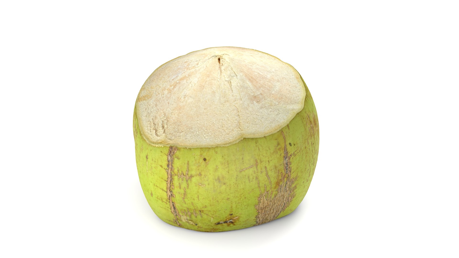 Green Coconut - Photorealistic Scan 3D model https://p.turbosquid.com/ts-thumb/c9/vlqQ31/Uz/coconutgreen_06/jpg/1755067817/1920x1080/fit_q87/ea3839ace39b3e4c8c6e219dc43f41ecd9e26c5f/coconutgreen_06.jpg