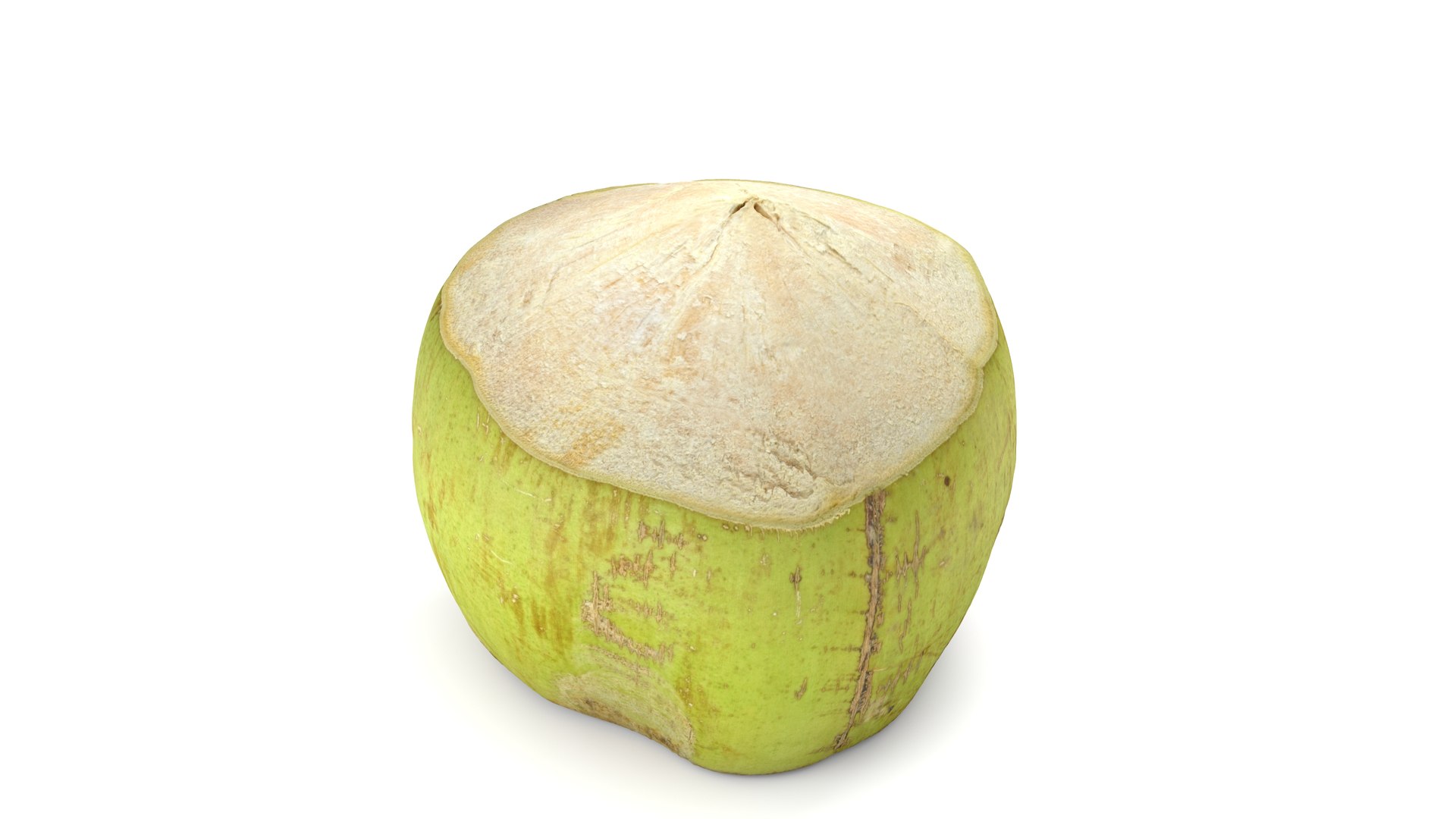 Green Coconut - Photorealistic Scan 3D model https://p.turbosquid.com/ts-thumb/c9/vlqQ31/VK/coconutgreen_15/jpg/1755067825/1920x1080/fit_q87/ff86bc71381e6311019b143ad0b3f3395d7816f7/coconutgreen_15.jpg