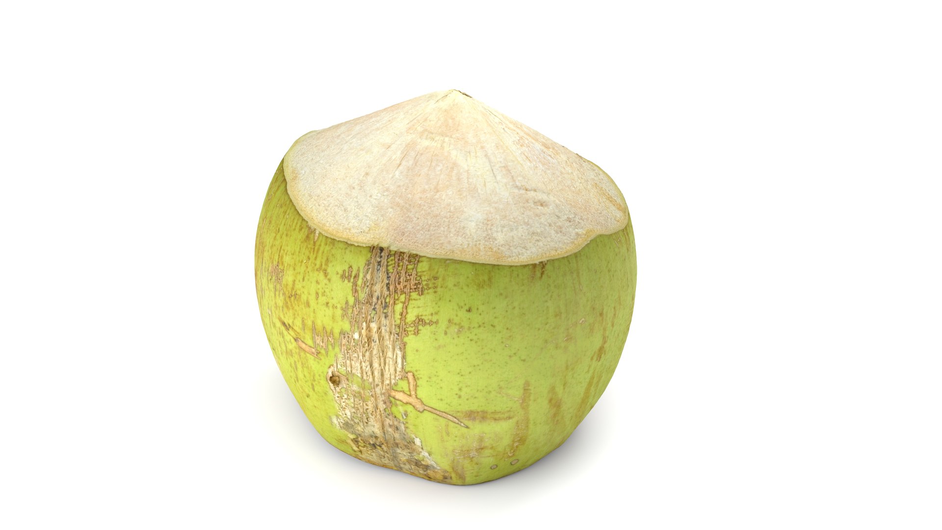 Green Coconut - Photorealistic Scan 3D model https://p.turbosquid.com/ts-thumb/c9/vlqQ31/cc/coconutgreen_03/jpg/1755067814/1920x1080/fit_q87/8e39d6acca712effdaecd135edba3ddd9bb76190/coconutgreen_03.jpg