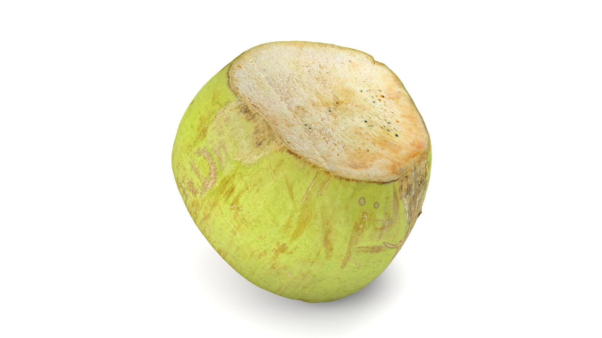 Green Coconut - Photorealistic Scan 3D model https://p.turbosquid.com/ts-thumb/c9/vlqQ31/i5/coconutgreen_11/jpg/1755067821/1920x1080/fit_q87/2ab36700a28b7b97434cedccb2efca1e8284f2d9/coconutgreen_11.jpg