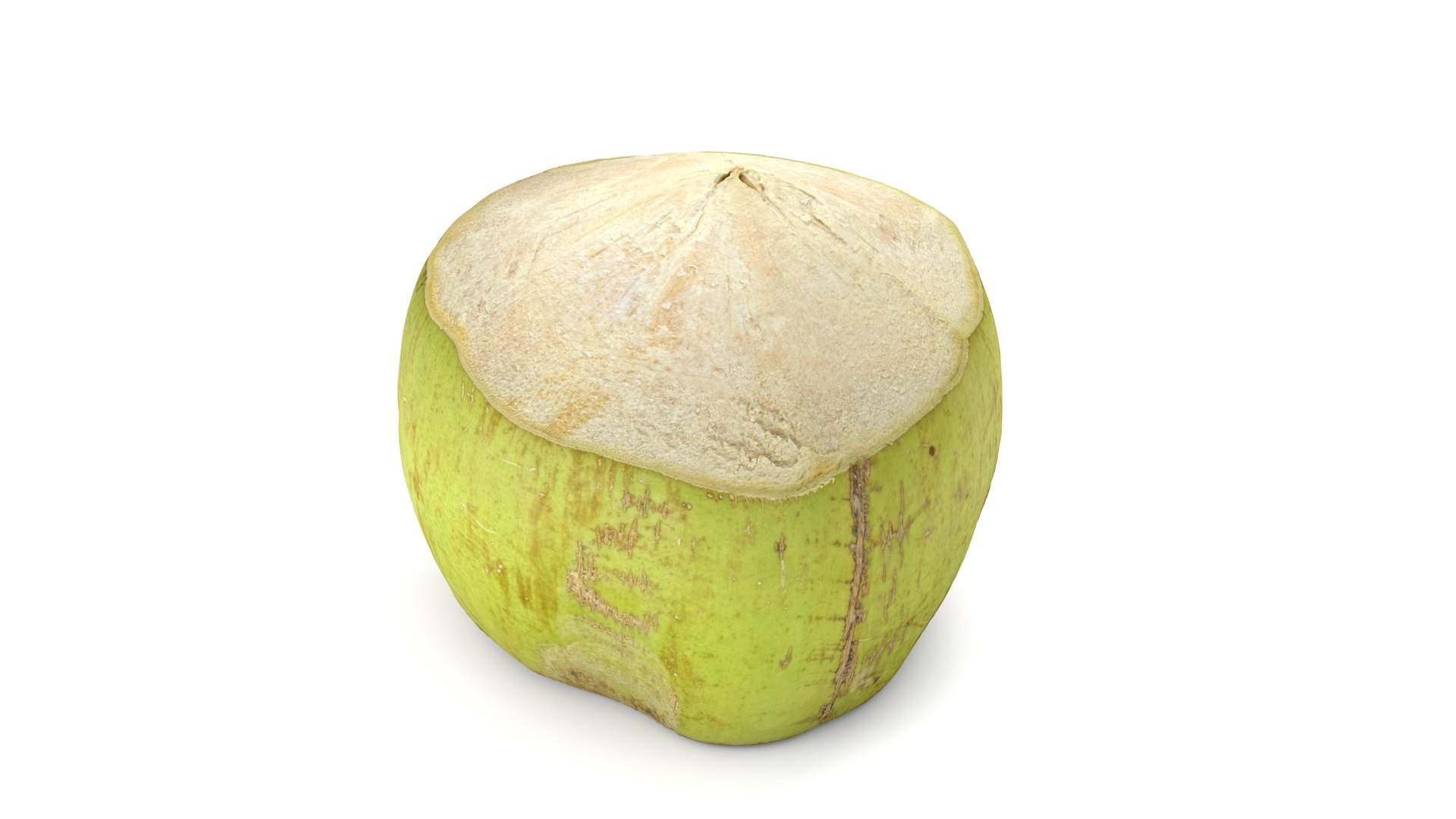 Green Coconut - Photorealistic Scan 3D model https://p.turbosquid.com/ts-thumb/c9/vlqQ31/iL/coconutgreen_01/jpg/1755067813/1920x1080/fit_q87/76ad0c707dd9f6335a416abb71109bde5eff51e0/coconutgreen_01.jpg