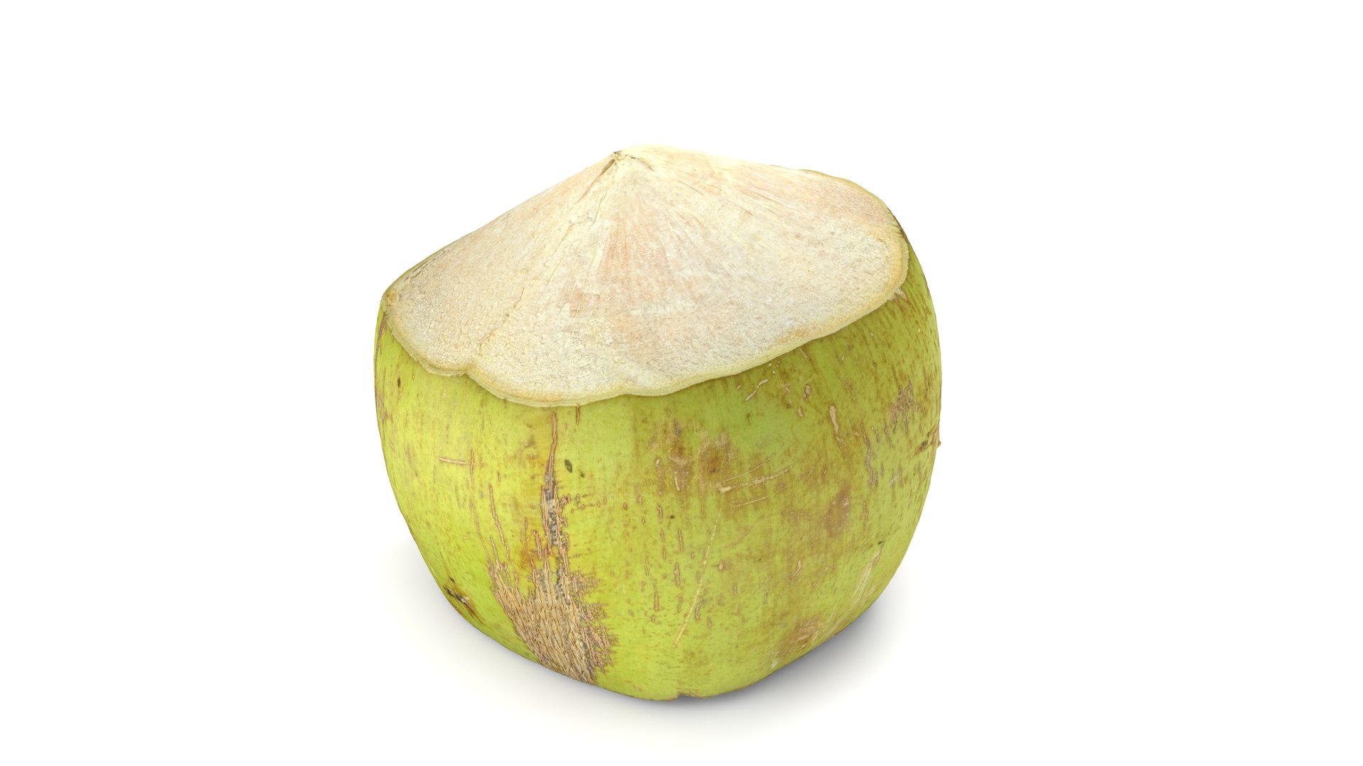 Green Coconut - Photorealistic Scan 3D model https://p.turbosquid.com/ts-thumb/c9/vlqQ31/sA/coconutgreen_05/jpg/1755067816/1920x1080/fit_q87/db7e21b6b2517ccbb8511f439747c37b2427388e/coconutgreen_05.jpg