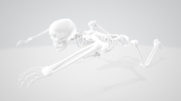 3D skeleton halloween - TurboSquid 1589124