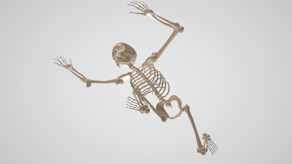 3D skeleton halloween - TurboSquid 1589124