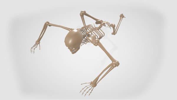 3D skeleton halloween - TurboSquid 1589124