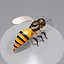 bee wing 3d max